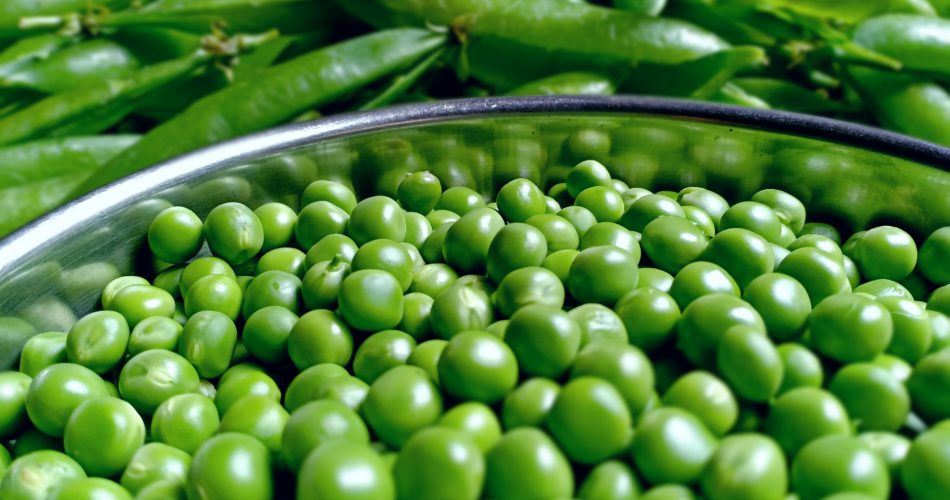 Erbsenprotein - Gesundheitliche Vorteile, Anwendung und Wirkung