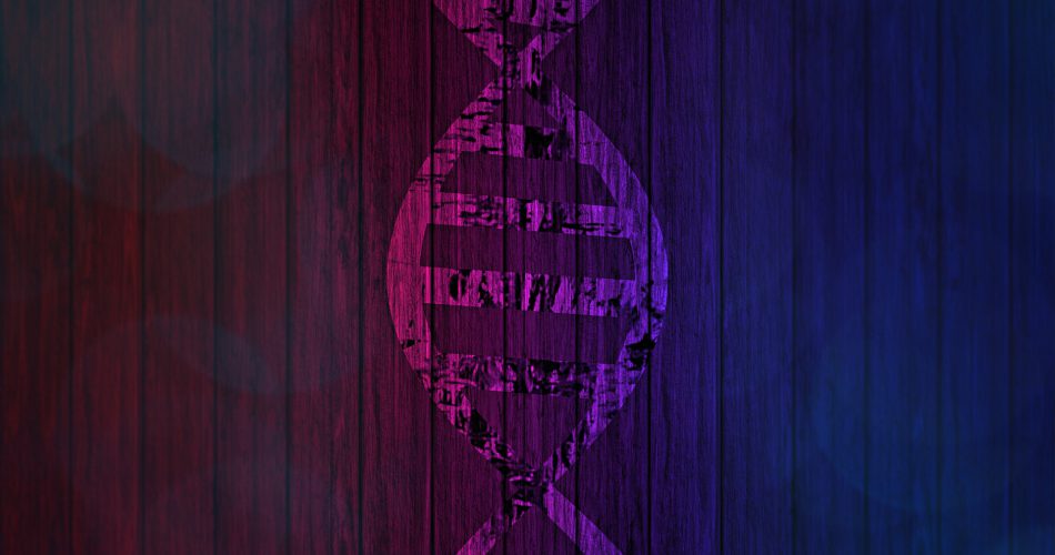 L-Lysin