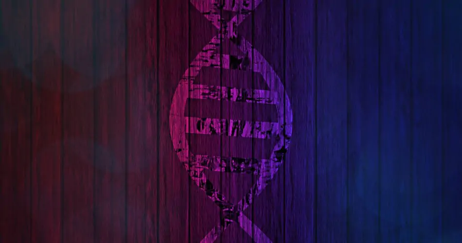 L-Lysin